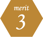 merit3