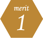 merit1